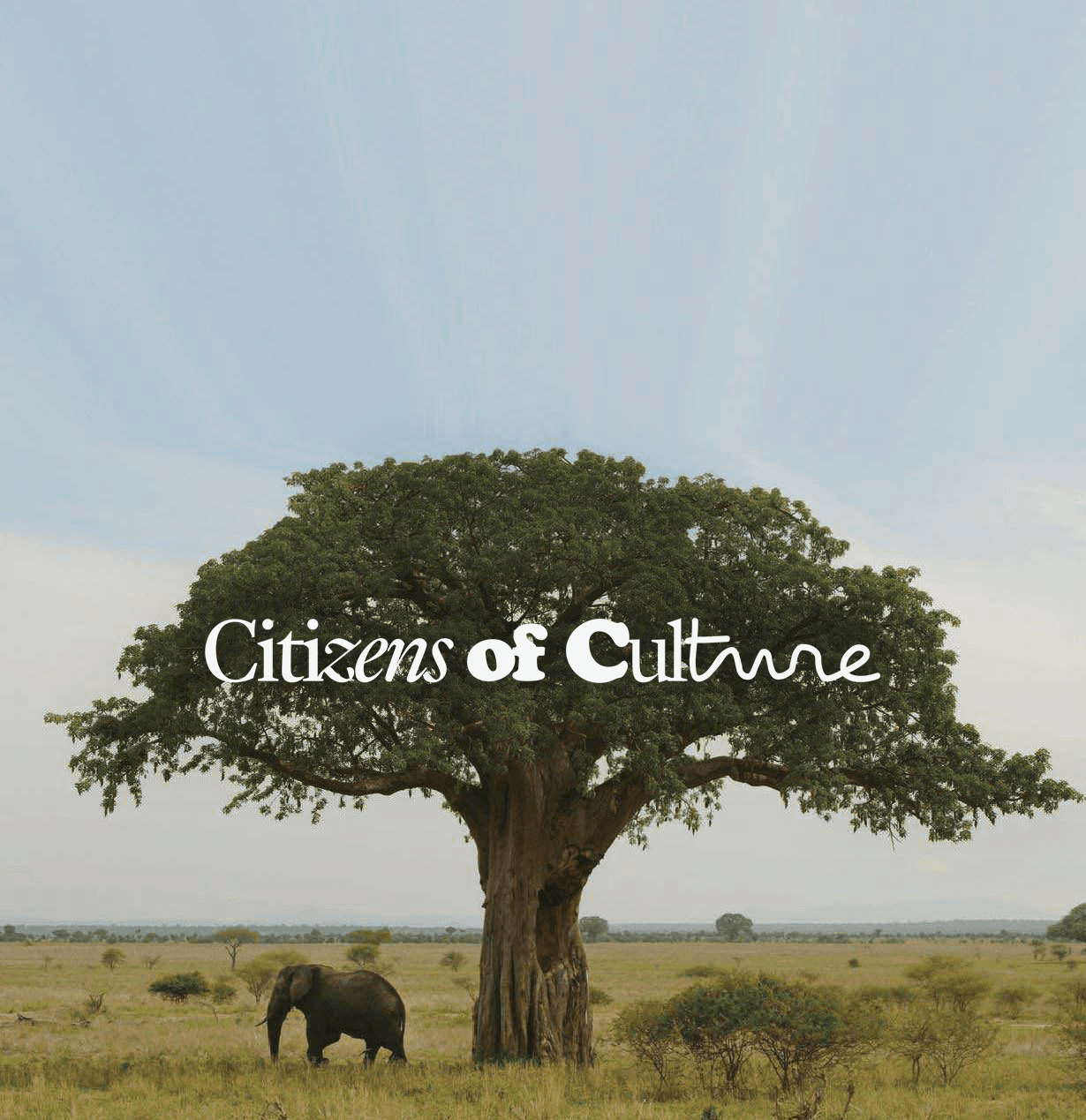 Kure by Stephan Hernandez & The Importance Of Small Talk